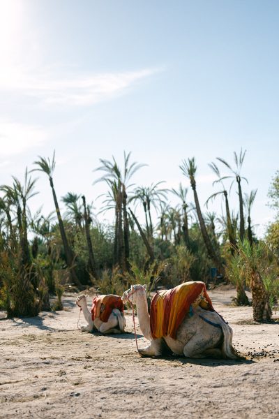 Marrakesh Wedding Dar Sabra